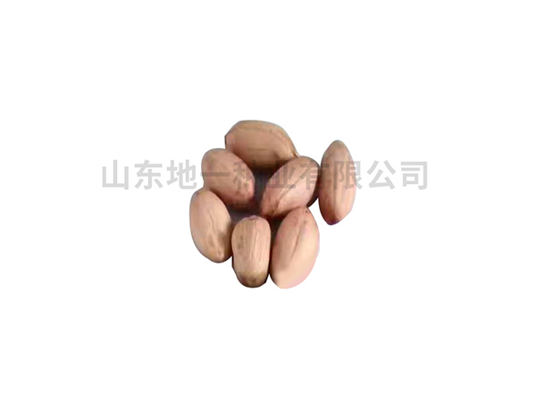 濰花25號(hào)花生種，有哪些栽培技巧